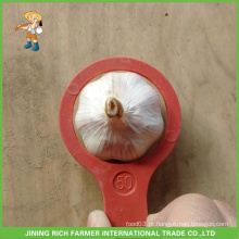 Alta Qualidade Atacado Jinxiang China Fresco Super Branco Garlic saco de malha 5.0CM Em Carton